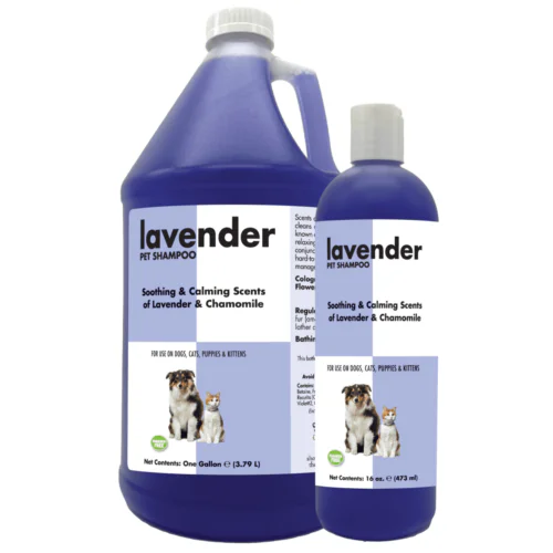 Showseason Lavender Shampoo