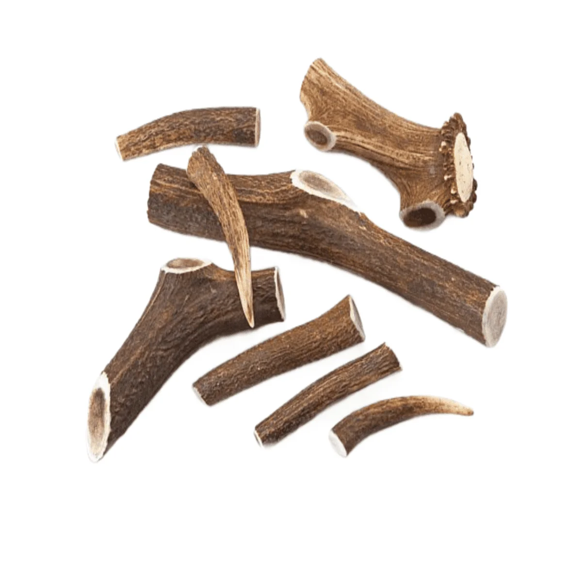 TK9 Antler
