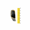 Cow Hooves Single