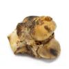 Femur Knuckle Bone