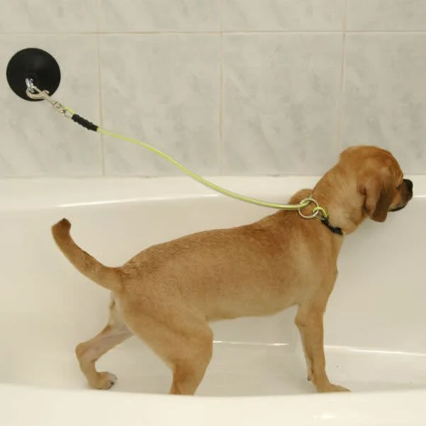 Suction Cup - Image 3