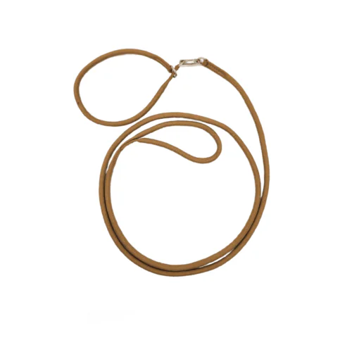 BC Braidz Round Swivel Leash w/ Collar