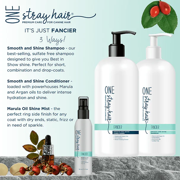 One Stray Hair Fancier - Smooth and Shine Conditioner - Image 2