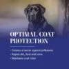 Chris Christensen Ice on Ice Ultra Conditioning Dematting Spray 13.2oz