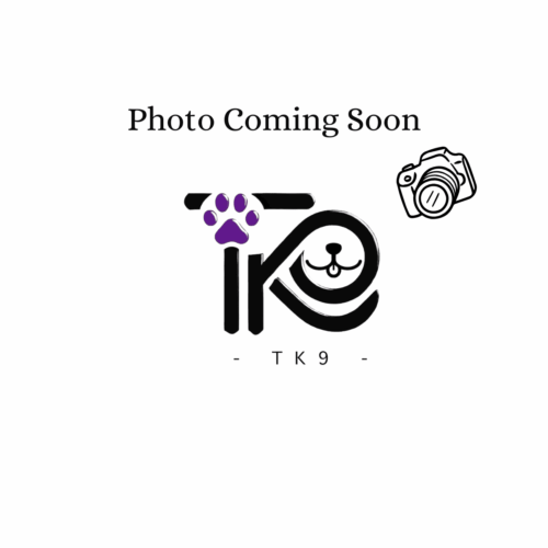 TK9 Classic Stripping Knife