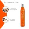 Artero Speed Dry Shampoo Spray 5.9 oz
