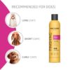 Artero Flash Shine Conditioner Spray