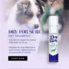 Chris Christensen Dry For Sure Dry Shampoo