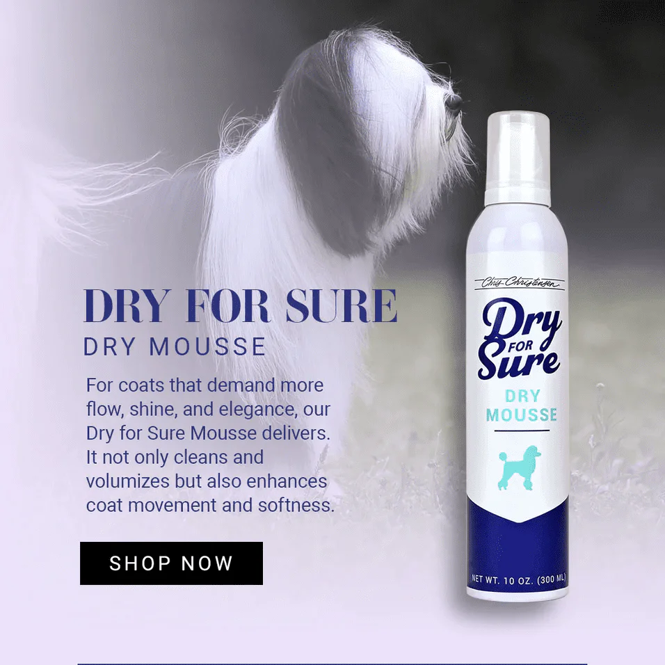 Chris Christensen Dry For Sure Dry Mousse - Image 2