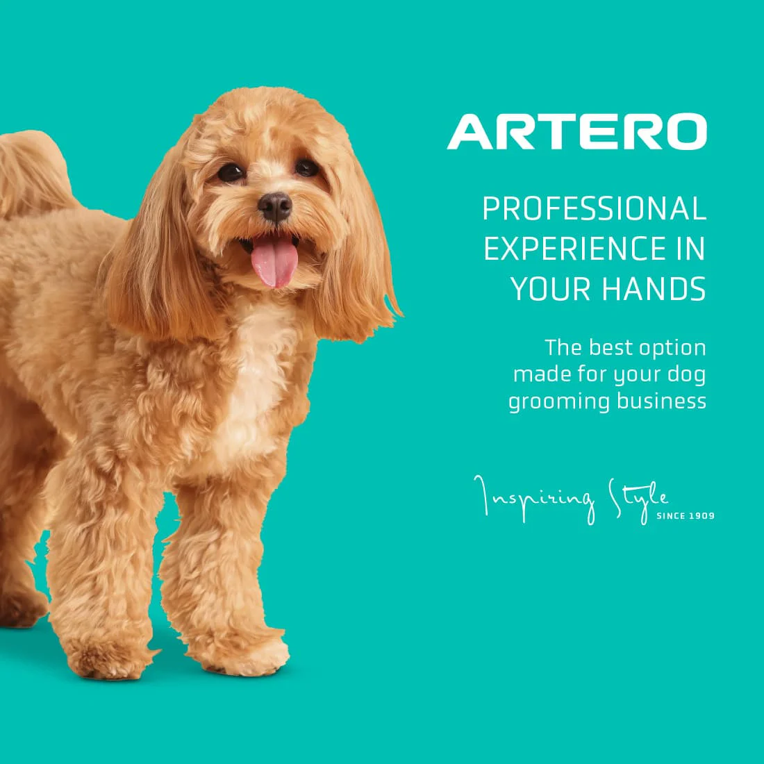 Artero Exo Dryer - Image 2