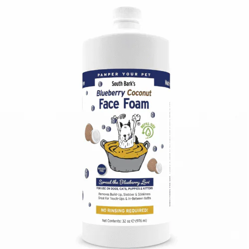 Showseason Blueberry Coconut Face Foam