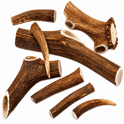 TK9 Antler