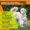 K9 Power – Puppy Gold