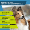 K9 Power – Show Stopper