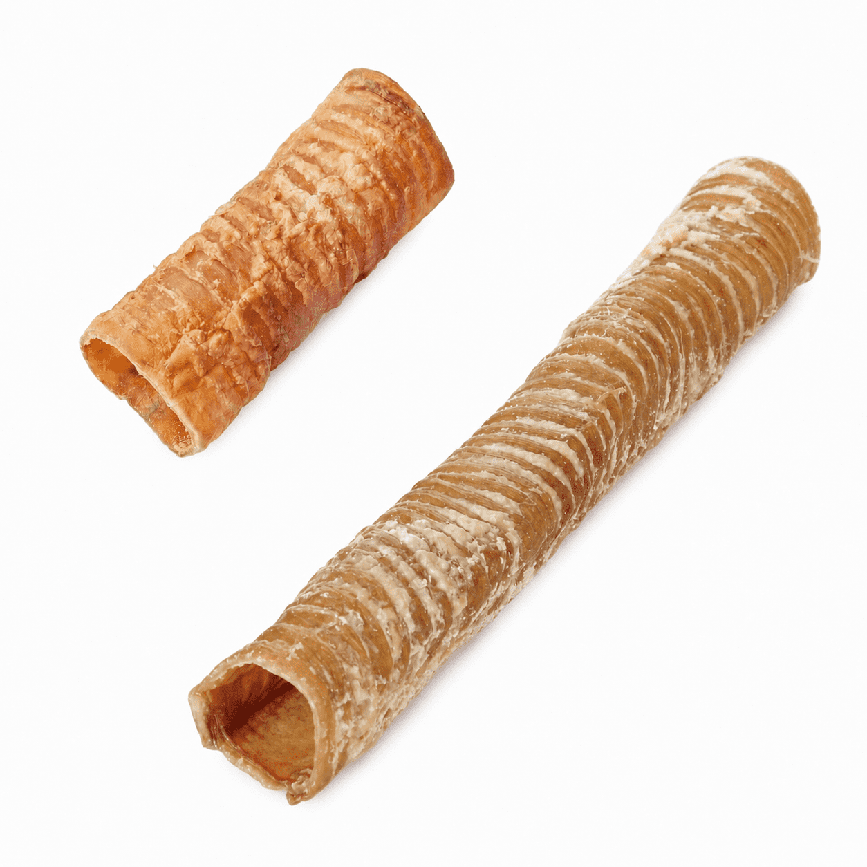 Trachea