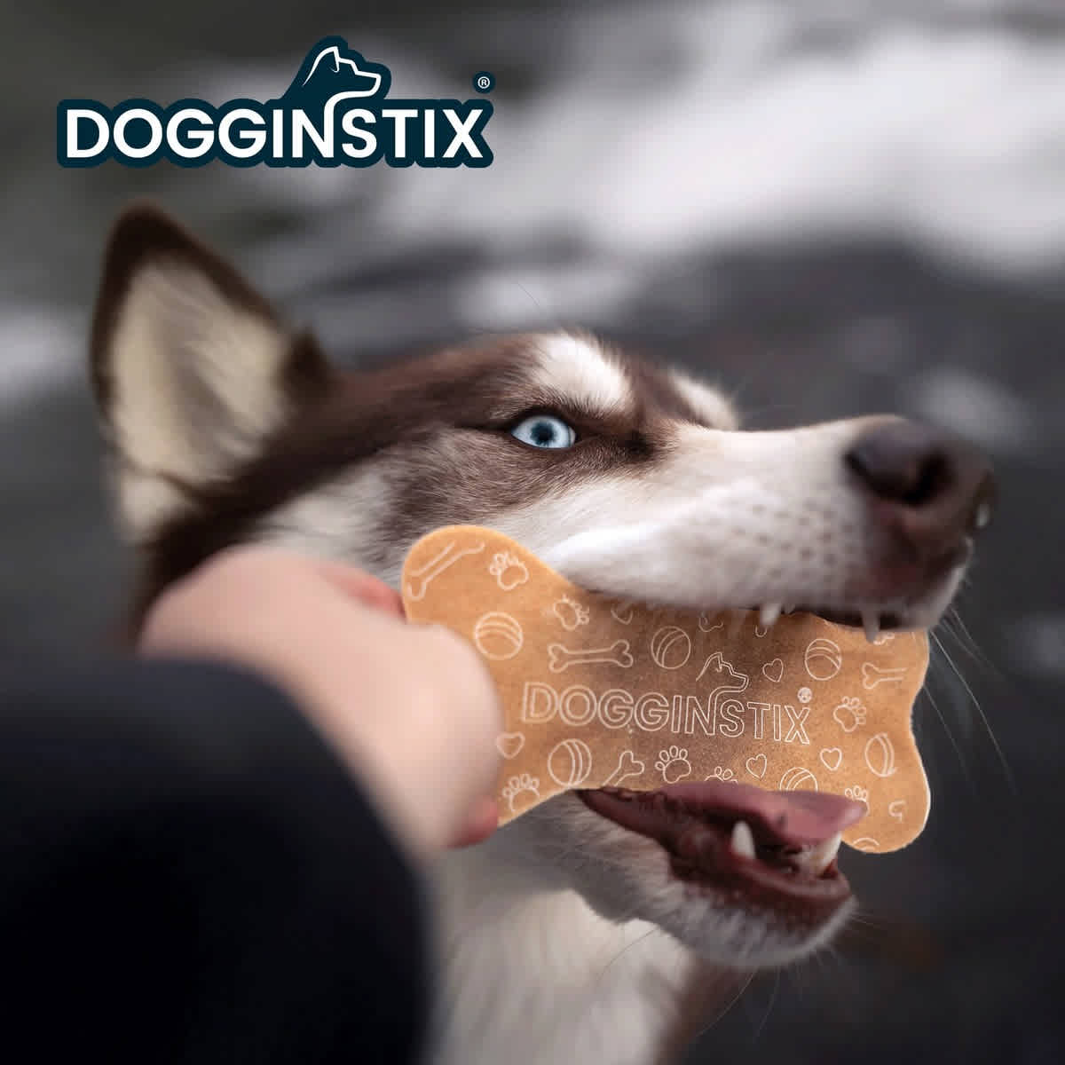 Dogginstix Dog Beef Collagen Collabone